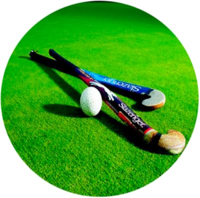 免费app2015-01rules to play ice hockey现在可以下载.066.